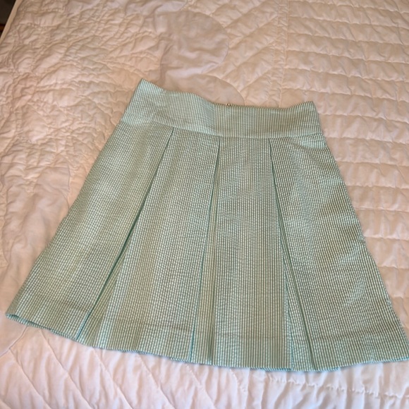 Lauren James Dresses & Skirts - Lauren James Pleated SS Skirt 200 in shade Mint.